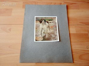 最新上架 维多利亚之美 西洋版画屋 孔夫子旧书网