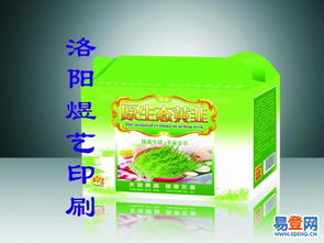 探索洛龙彩色印刷的艺术与科技融合