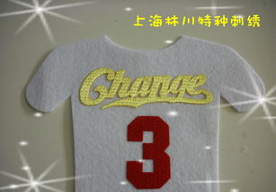 热转印彩色仿绣花3D印标 价格、厂家与图片全解析